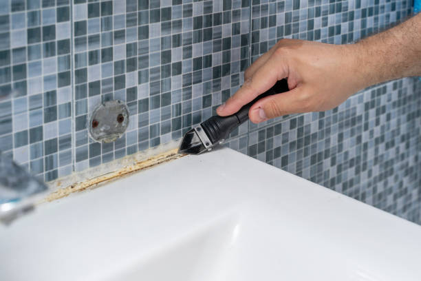Best Black Mold Removal  in Emsworth, PA